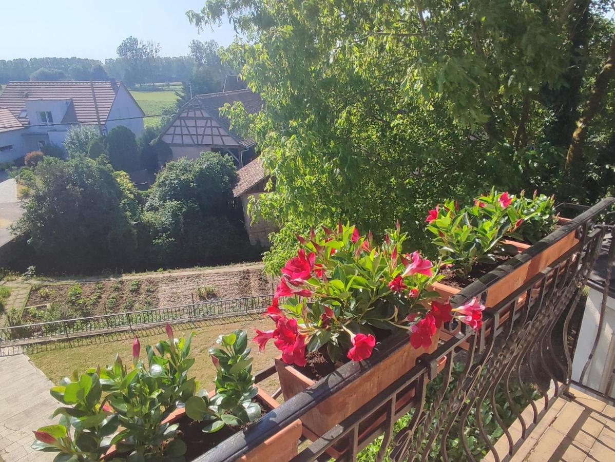 Krautergersheim Appartement Des Rives De L'Ehn מראה חיצוני תמונה
